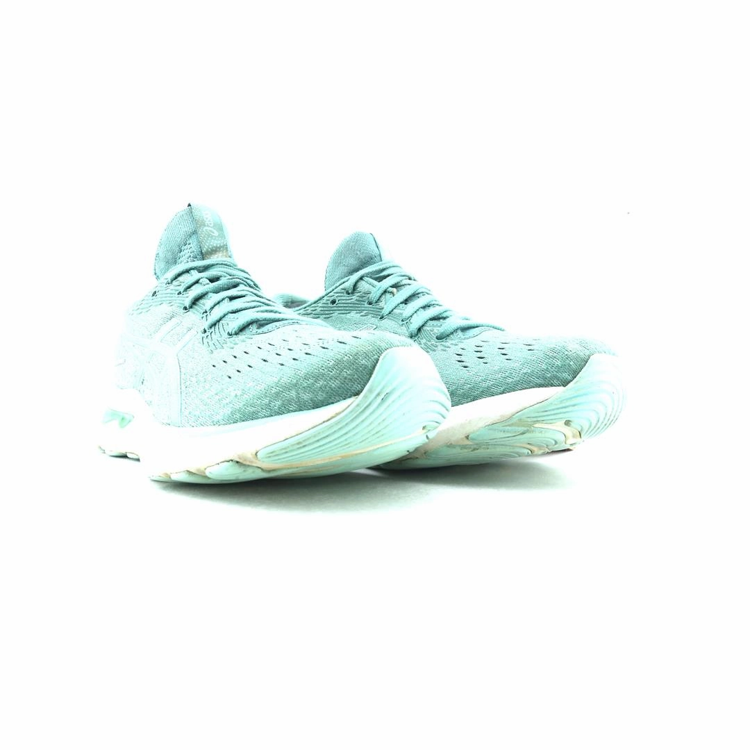 ASICS GEL NIMBUS 24