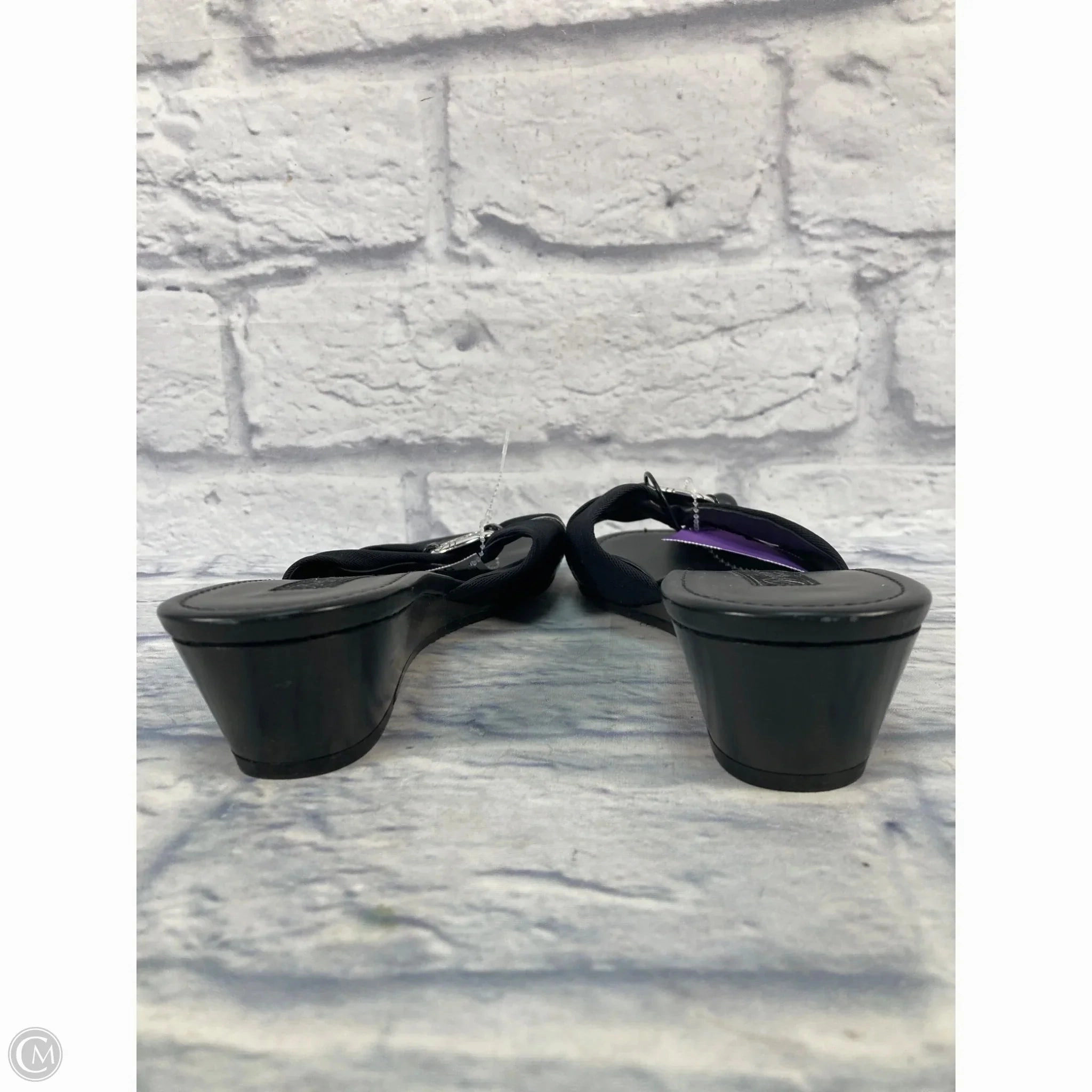 Sandals Heels Block By Brighton In Black & Silver, Size: 10