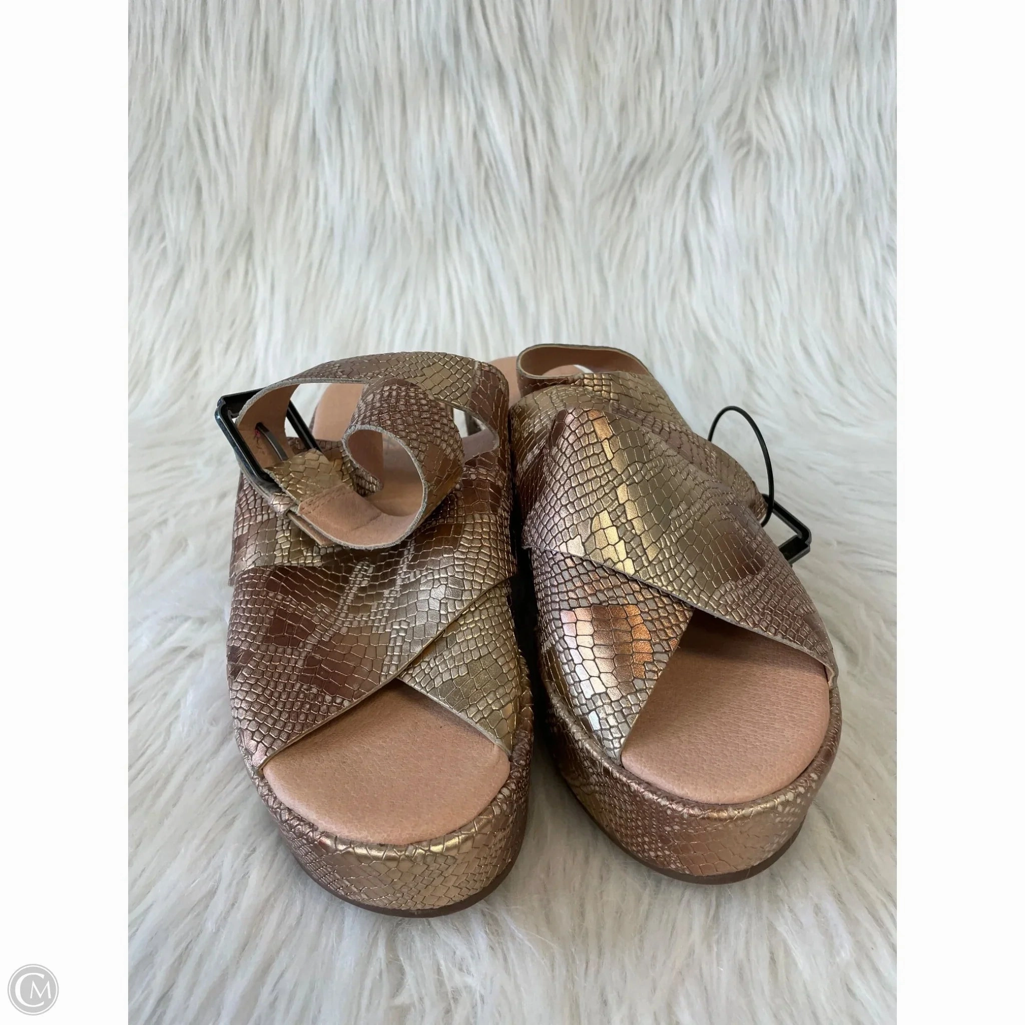 Sandals Heels Platform By Matisse In Snakeskin Print, Size: 6