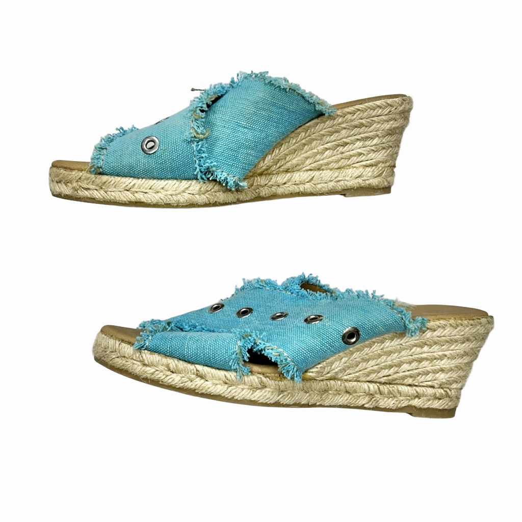 Shoes Heels Wedge By Anthropologie  Size: 9