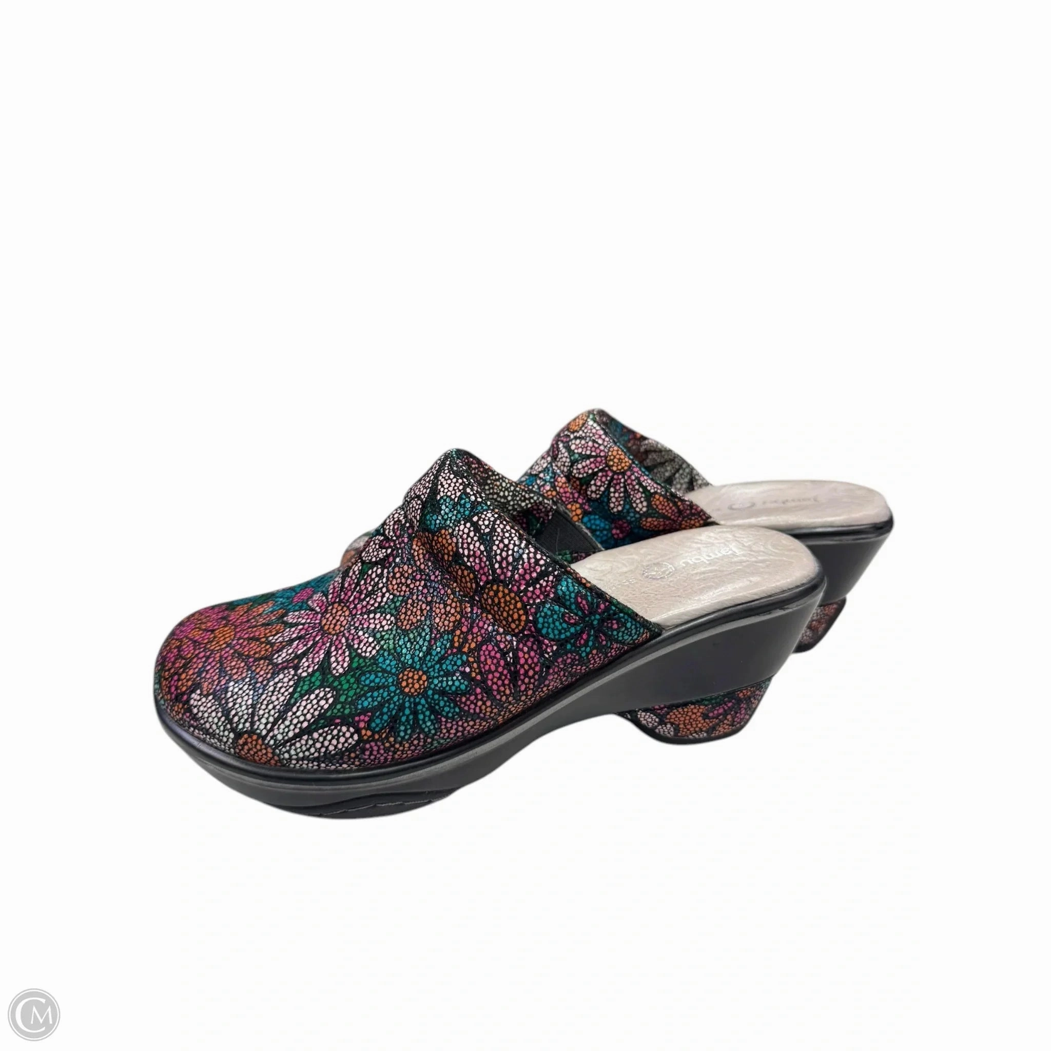 Shoes Heels Wedge By Jambu In Floral Print, Size: 6.5
